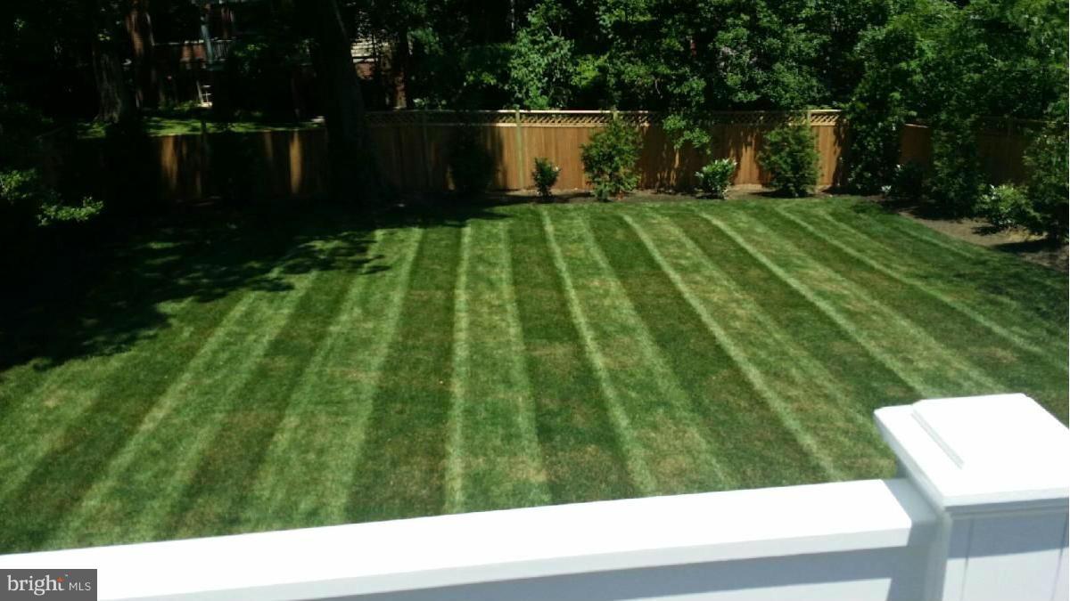 3631 Tilden Street Northwest Washington, DC 20008 - Photo 29 of 29 Exterior (Rear)