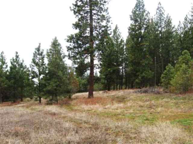 11107 South Cedar Road Spokane, WA 99224 - Photo 8 of 9
