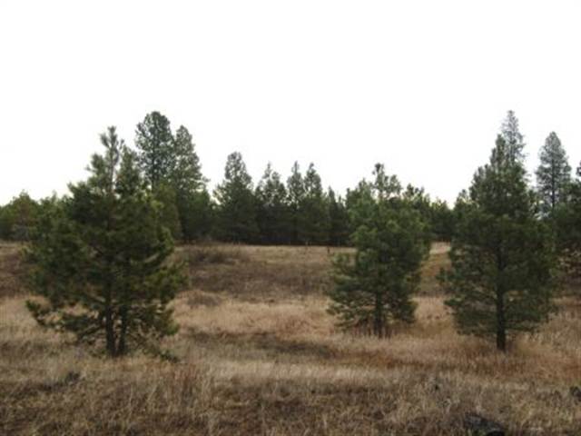 11107 South Cedar Road Spokane, WA 99224 - Photo 9 of 9