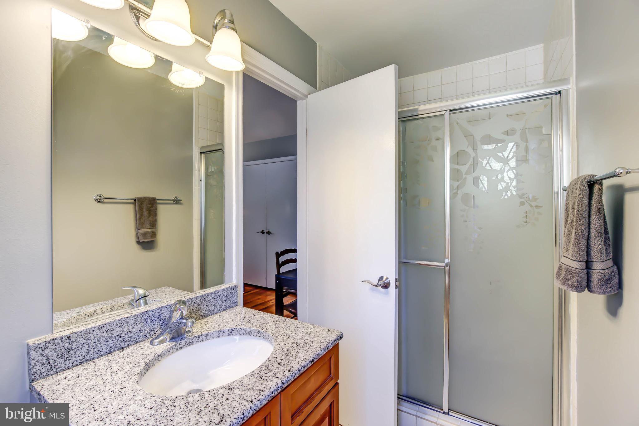 1077 Spring Hill Road McLean, VA 22102 - Photo 45 of 59