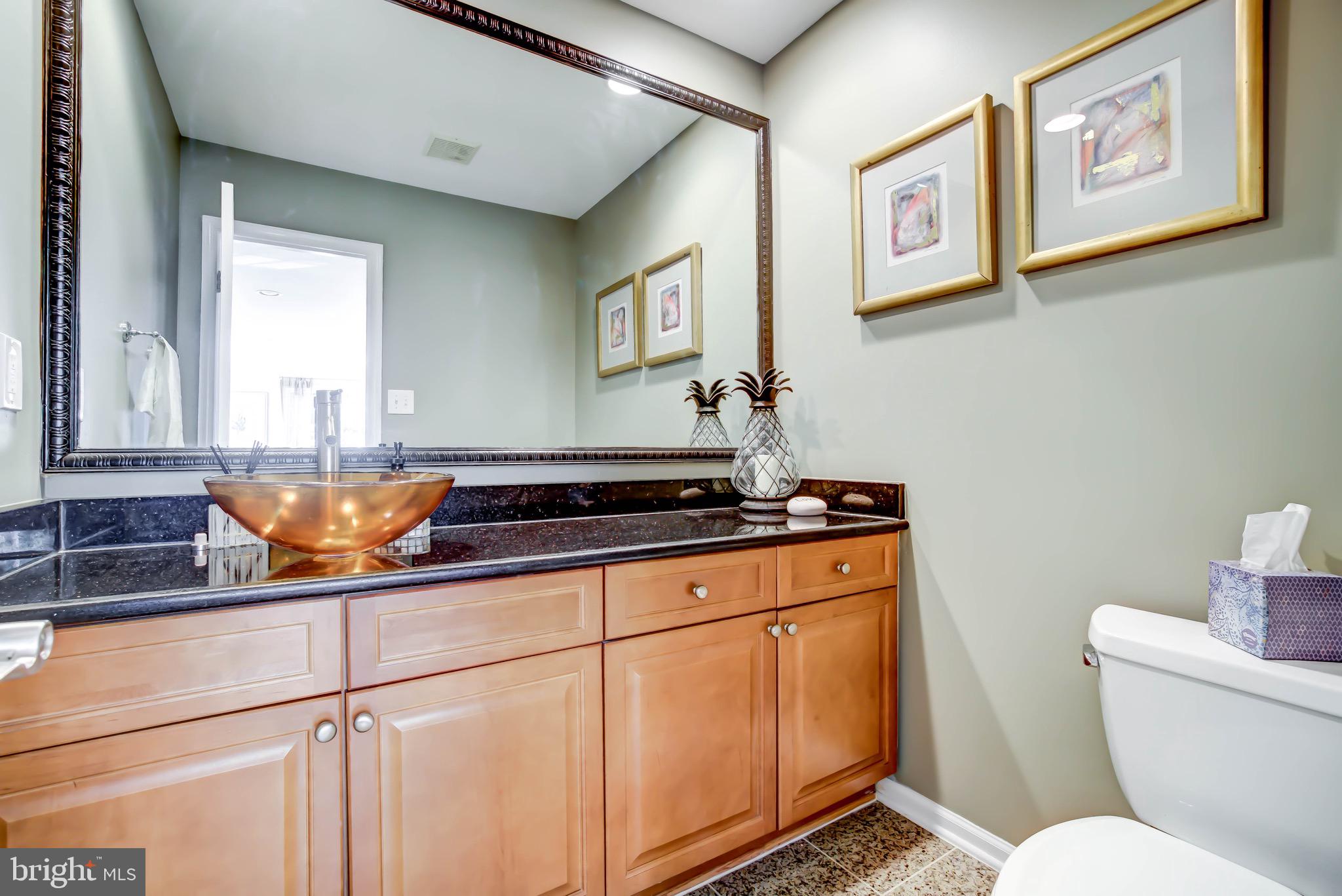 1077 Spring Hill Road McLean, VA 22102 - Photo 53 of 59