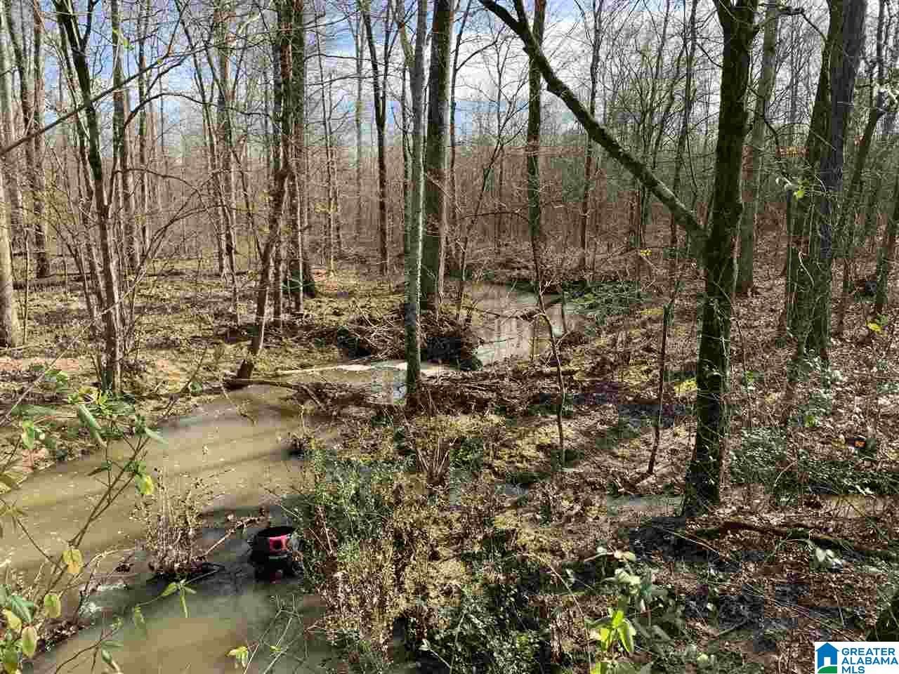 15-acres Crump Road, Unit 15 ACRES Steele, AL 35987 - Photo 8 of 9