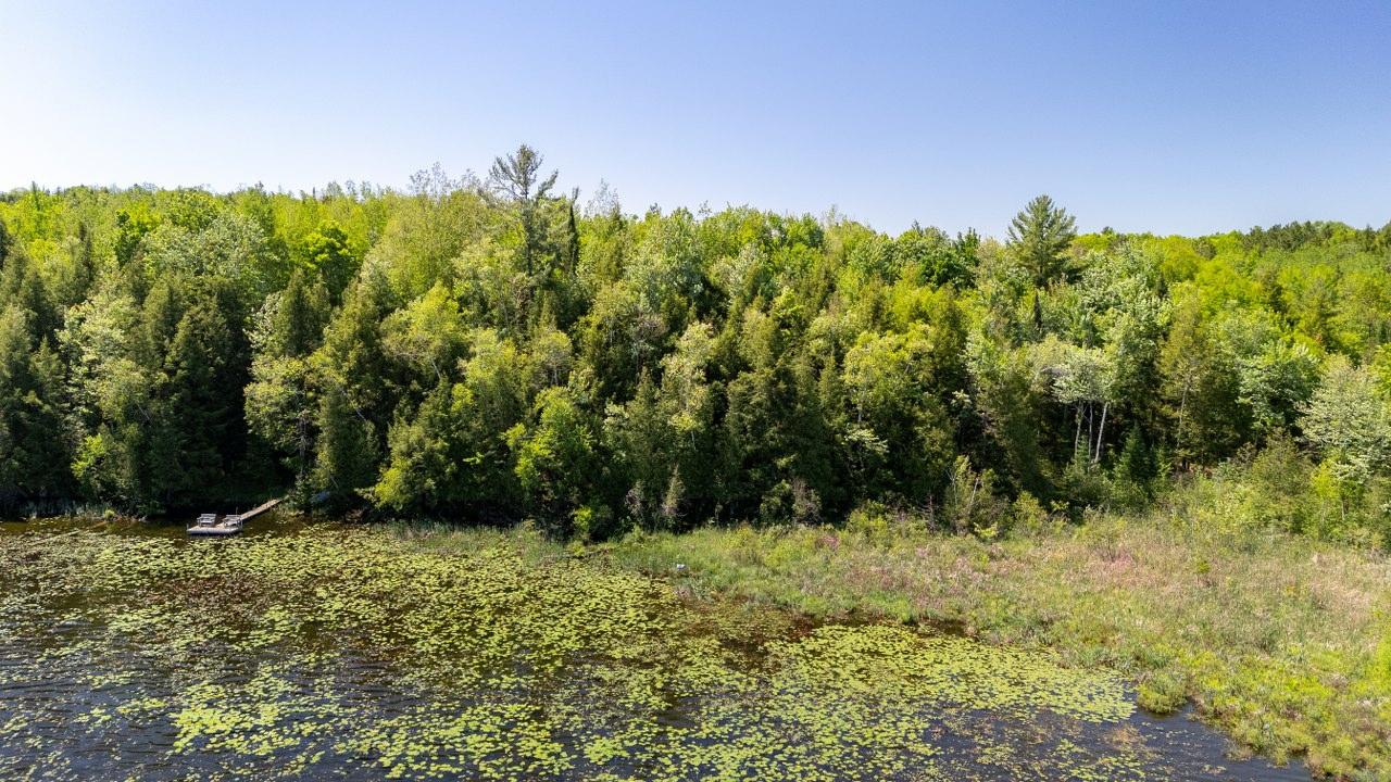Lot 2 Lake John Road White Lake, WI 54491 - Photo 22 of 24 Gallery Image 22
