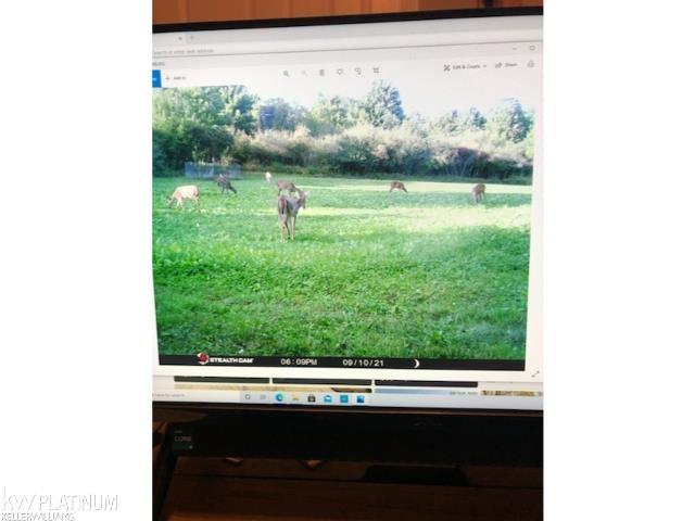 0 Burton Road Capac, MI 48014 - Photo 5 of 5