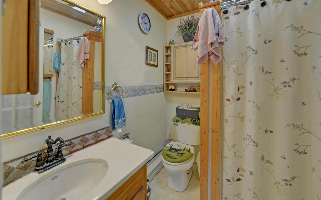 182 Old Pleasant Valley Road Talking Rock, GA 30175 - Photo 16 of 43