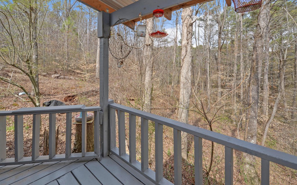 182 Old Pleasant Valley Road Talking Rock, GA 30175 - Photo 30 of 43