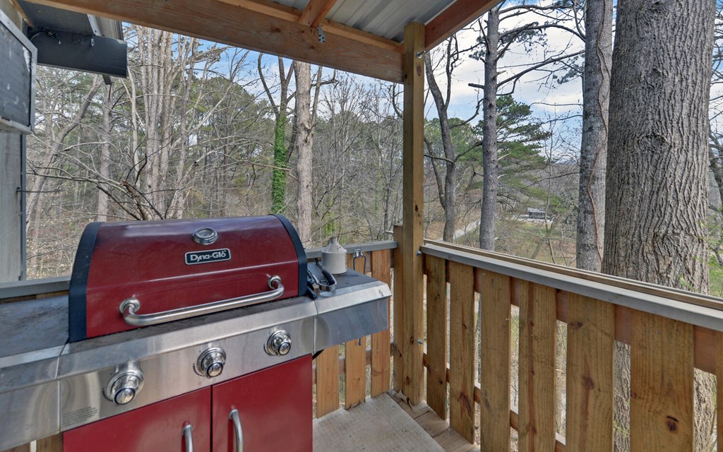 182 Old Pleasant Valley Road Talking Rock, GA 30175 - Photo 31 of 43