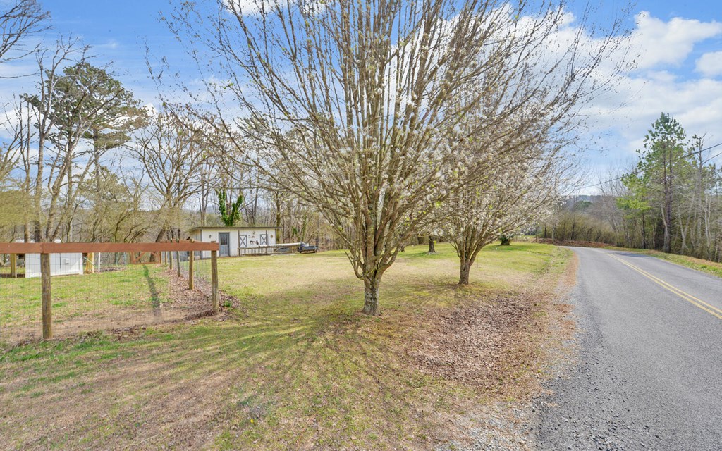 182 Old Pleasant Valley Road Talking Rock, GA 30175 - Photo 39 of 43