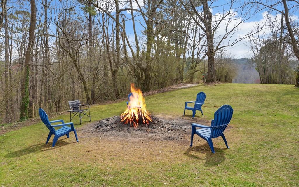 182 Old Pleasant Valley Road Talking Rock, GA 30175 - Photo 42 of 43