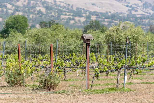 $1,200,000 | 8645 County Road 49, Brooks, CA 95606