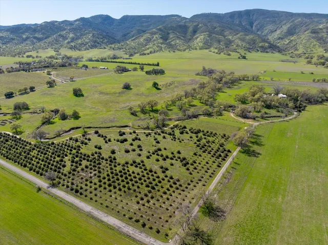 $1,200,000 | 8645 County Road 49, Brooks, CA 95606
