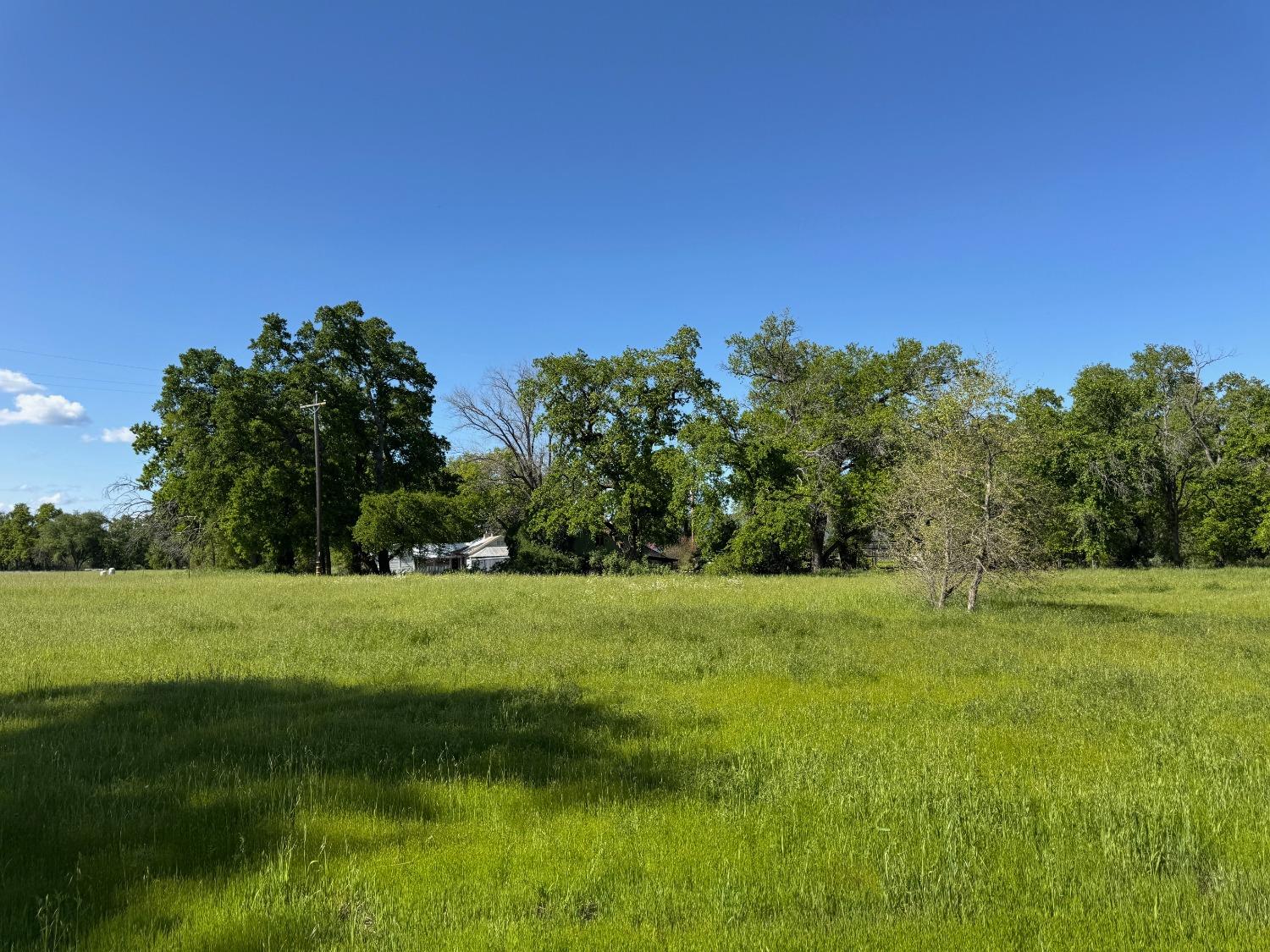 8645 County Road 49 Brooks, CA 95606 - Photo 65 of 67