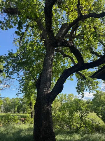 $1,200,000 | 8645 County Road 49, Brooks, CA 95606