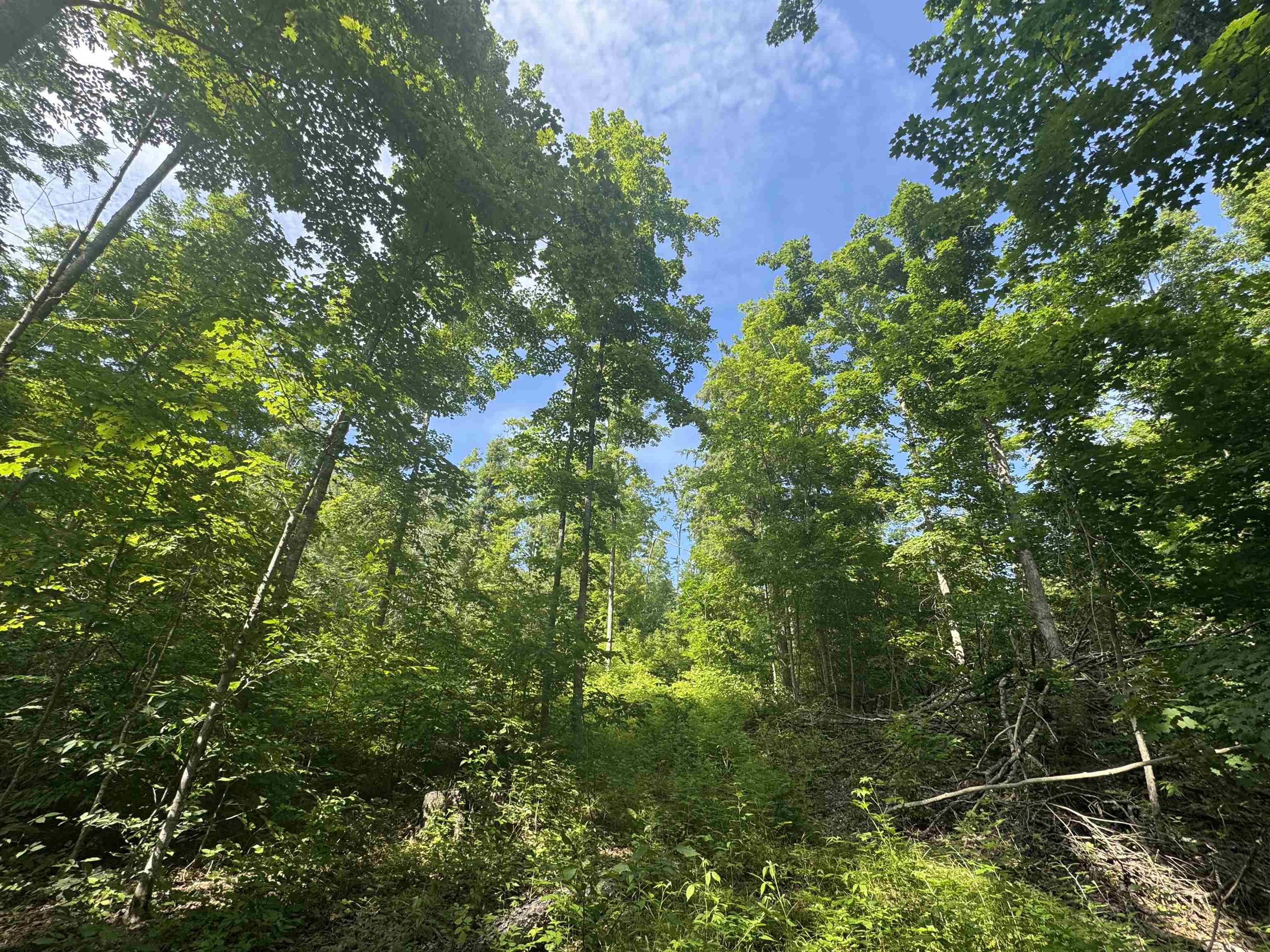 0 West Beeman Road, Unit WELLS CREEK RANCH Empire, MI 49630 - Photo 10 of 17