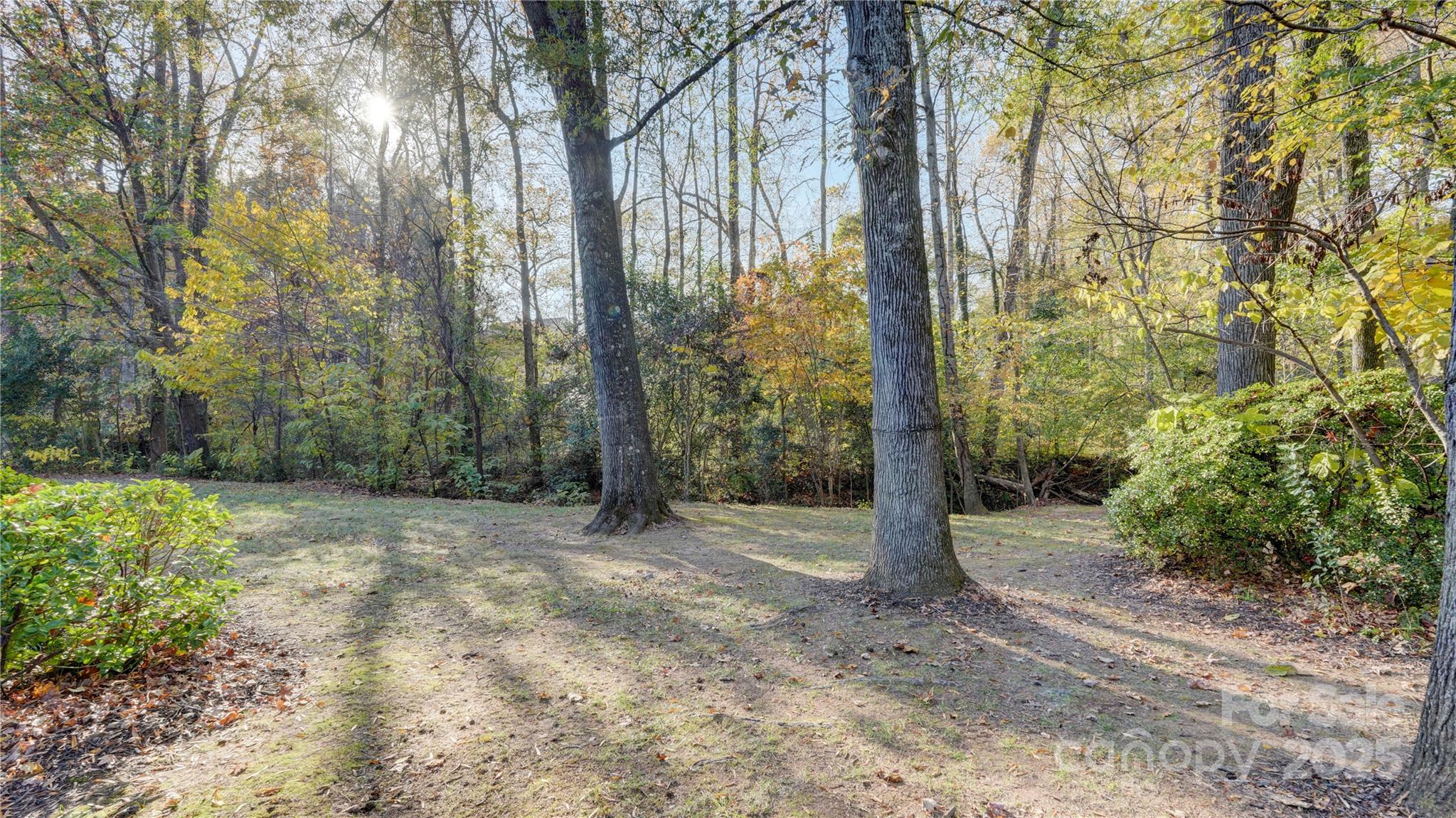 1535 Cripple Creek Road Kannapolis, NC 28081 - Photo 30 of 40 a view of a forest with trees