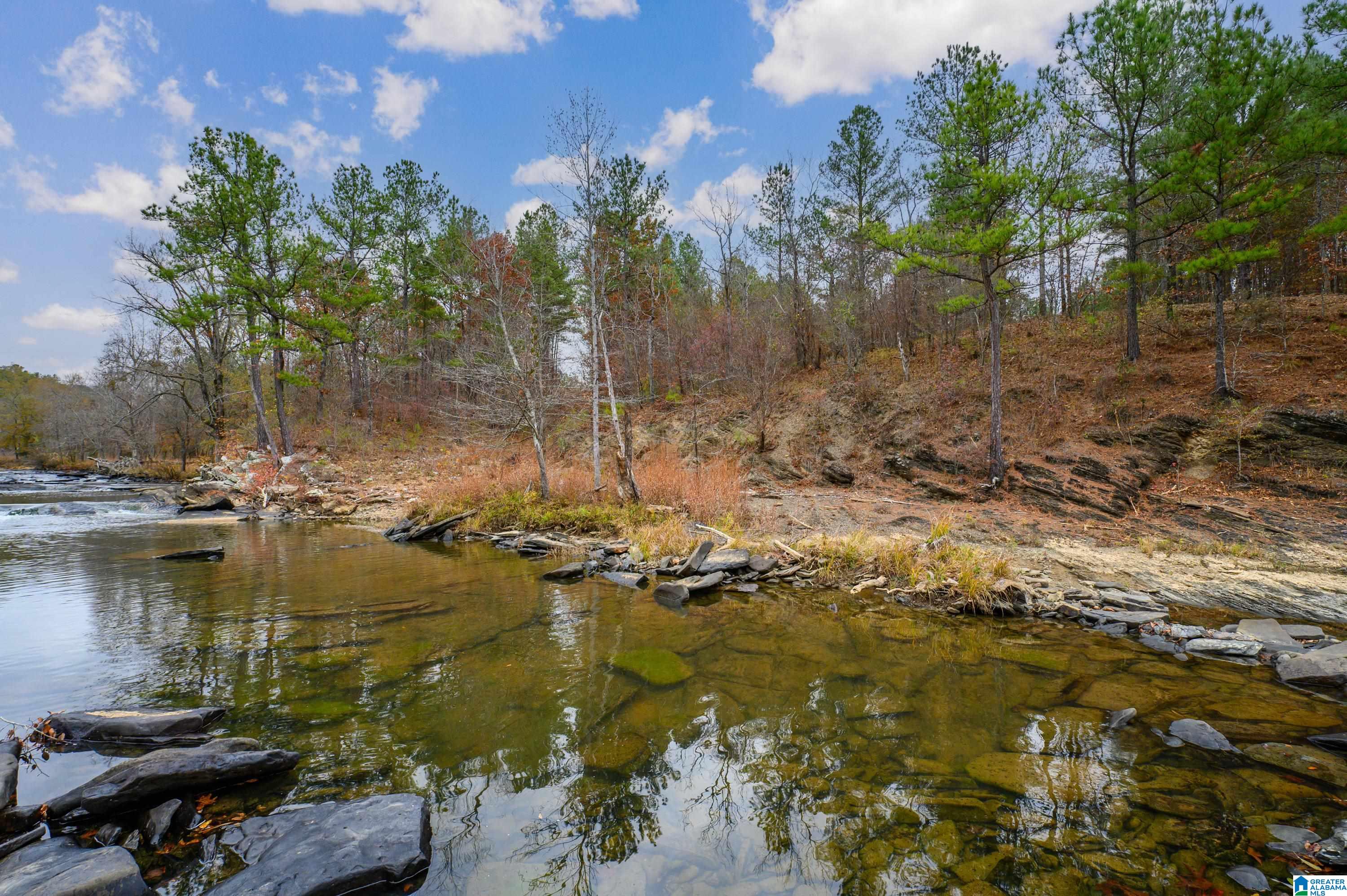 8799 Shades Fall Way, Unit 2 Bessemer, AL 35022 - Photo 28 of 45