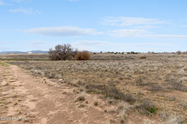 a view of an ocean beach
