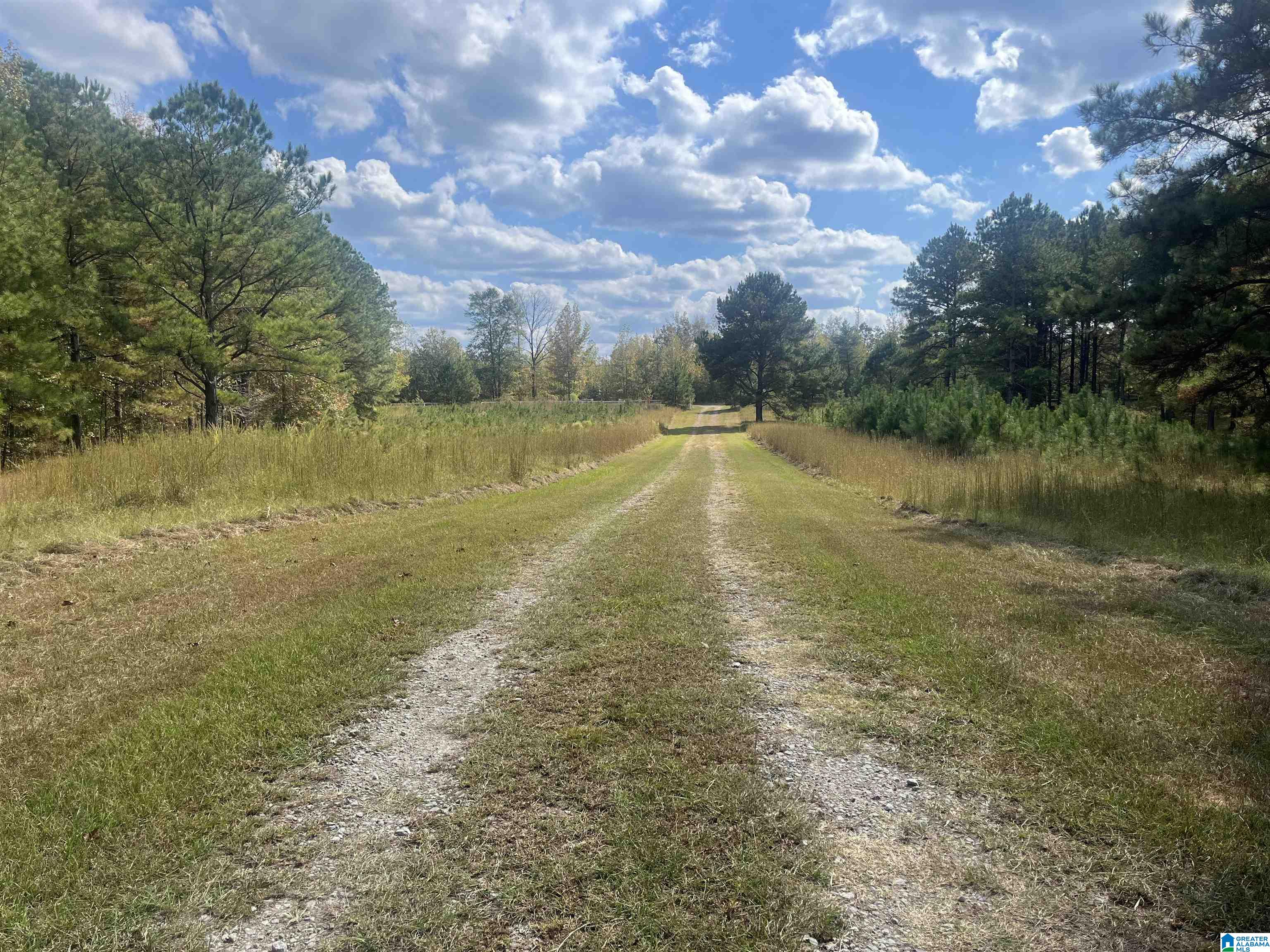 Eagle Port Road, Unit 7&8 Quinton, AL 35130 - Photo 8 of 12