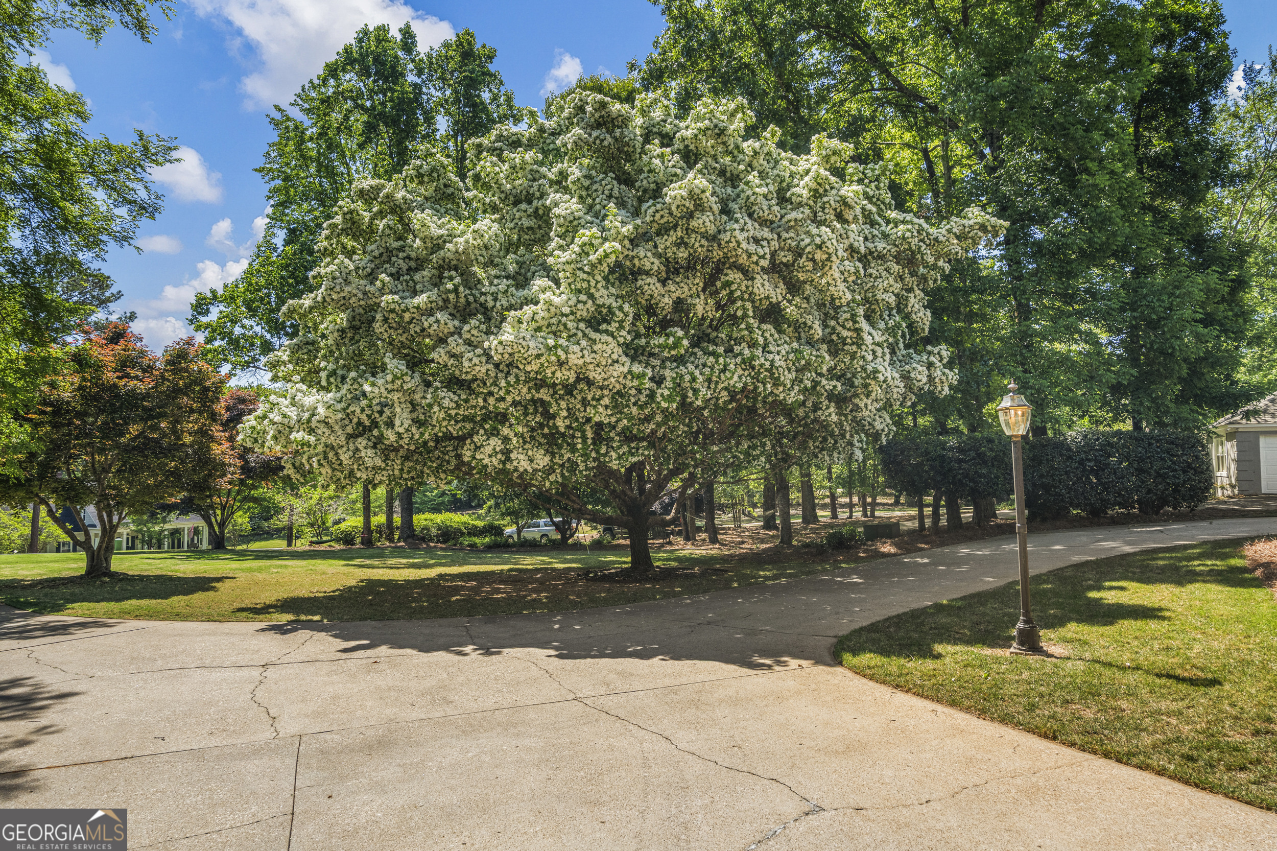 1017 Riverside Drive LaGrange, GA 30240 - Photo 5 of 45