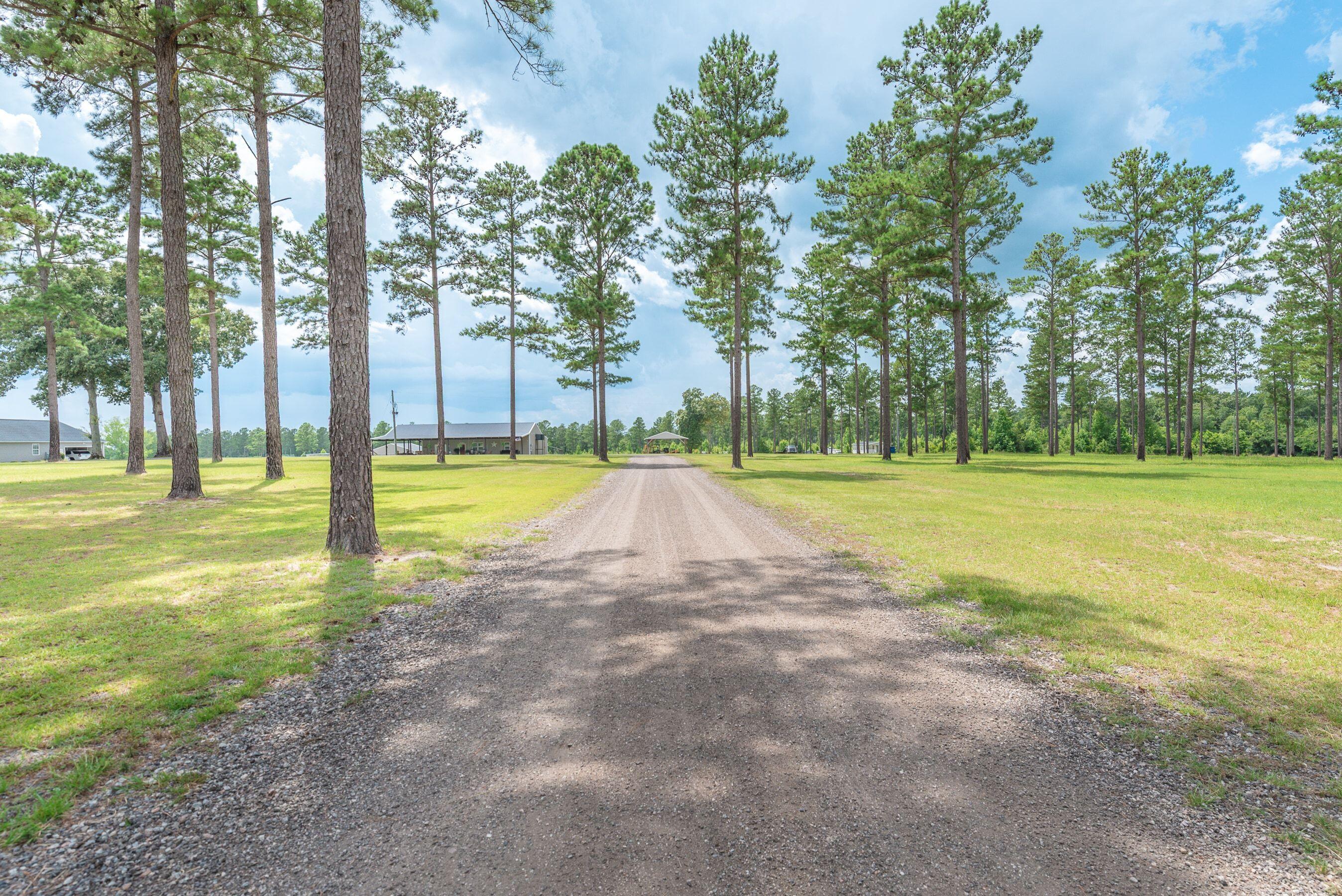 2650 State Rd S-6-54 Barnwell, SC 29812 - Photo 75 of 80