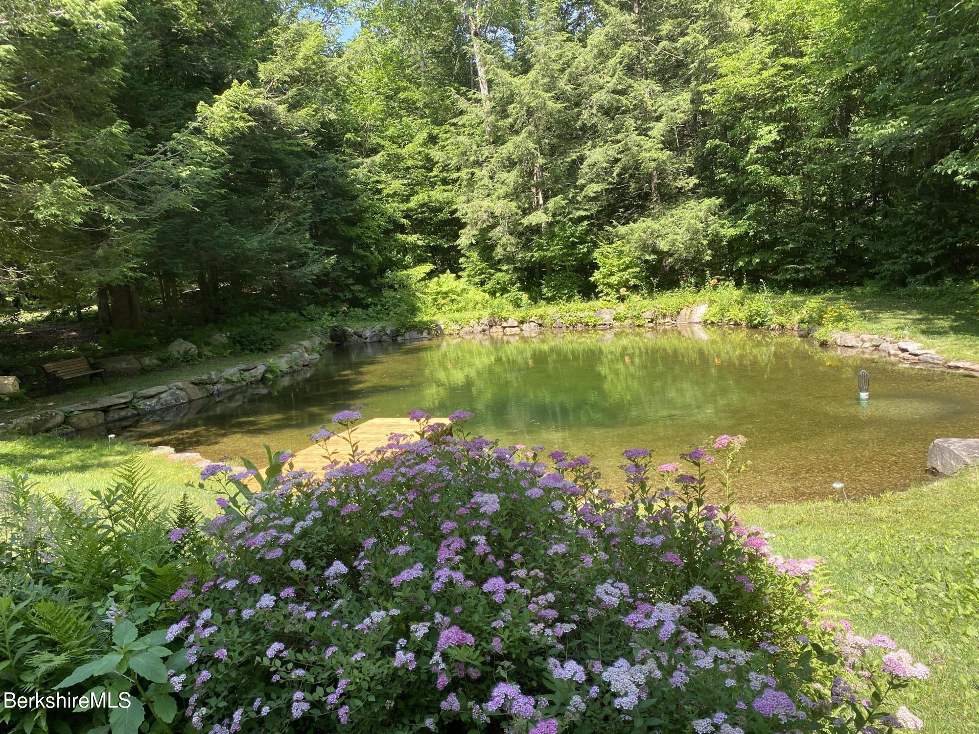 1196 Bancroft Road Becket, MA 01223 - Photo 3 of 46 spring fed pond