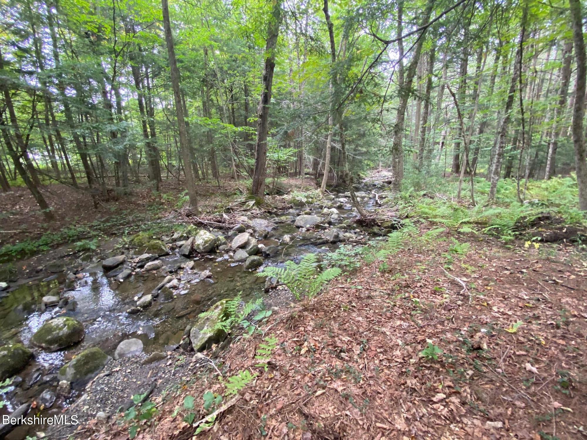 1196 Bancroft Road Becket, MA 01223 - Photo 7 of 46 brook that flows through the property