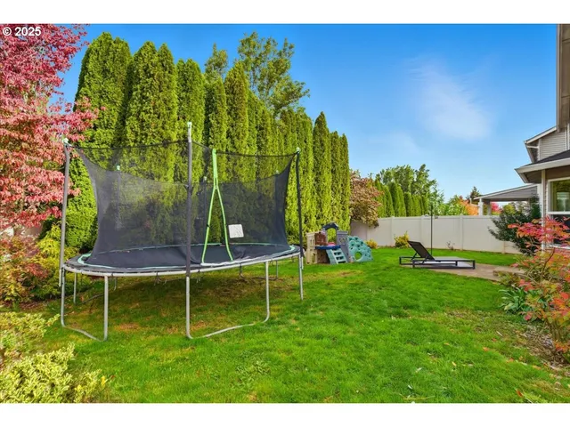 a view of a backyard with plants