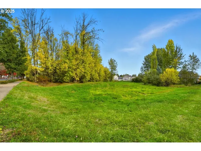 a view of backyard with green space