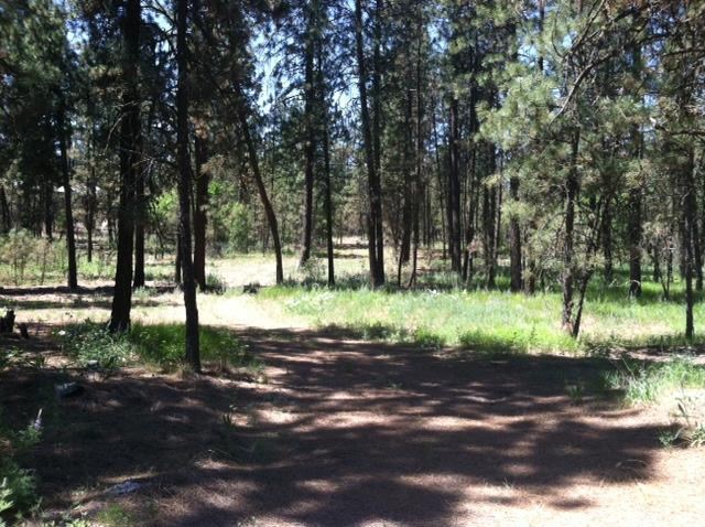 11514 South Sherman Road Spokane, WA 99224 - Photo 16 of 20
