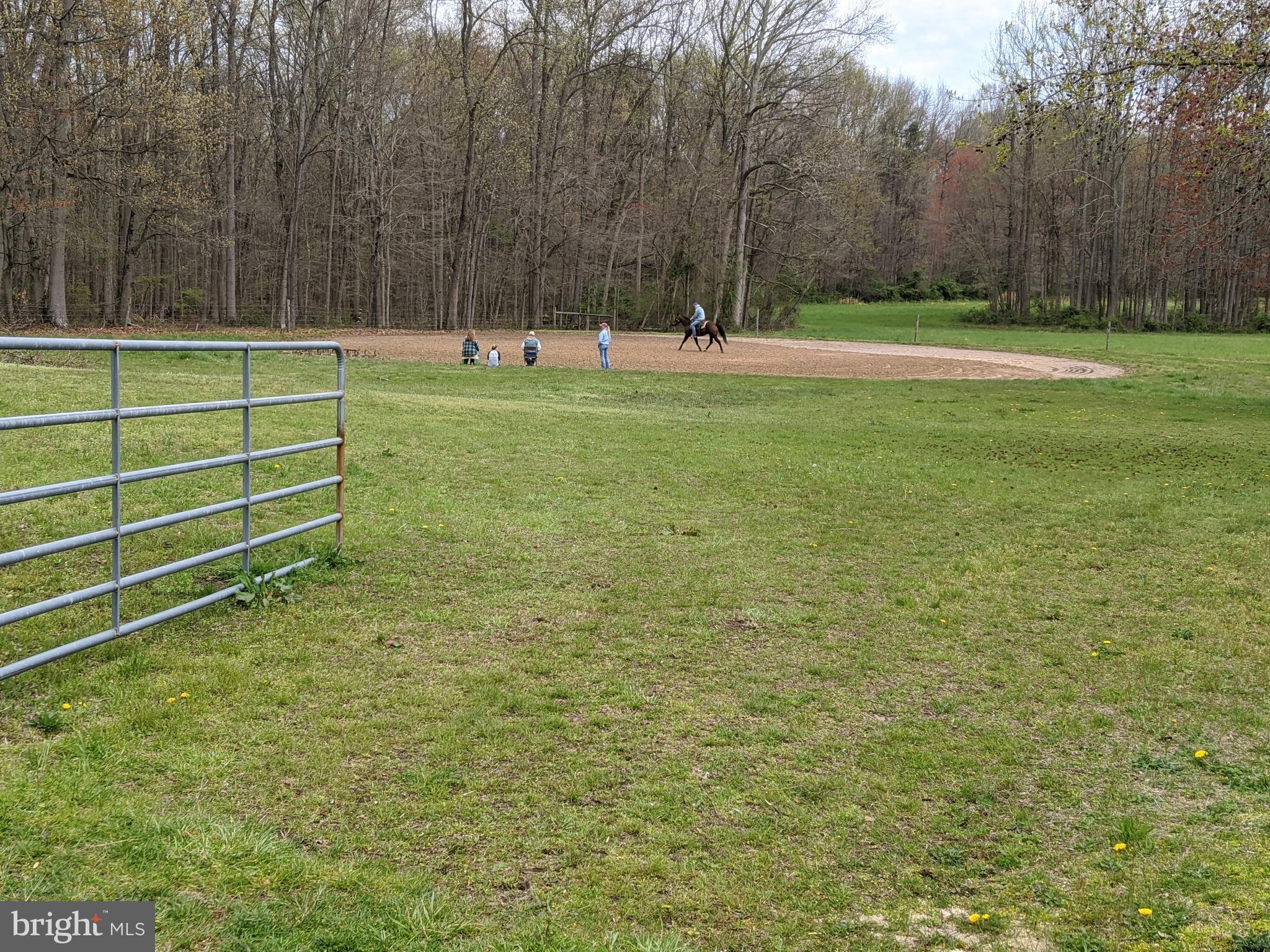 525 Nottingham Road Elkton, MD 21921 - Photo 35 of 39 Riding Ring