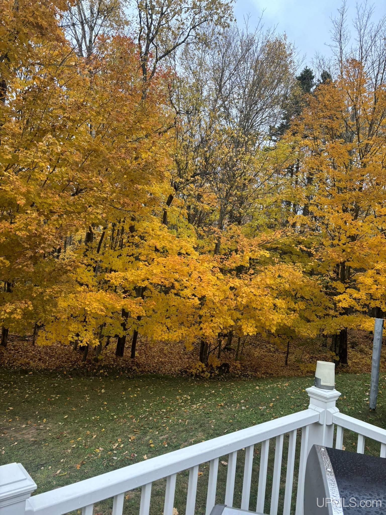 N7776 Carmody Road Munising, MI 49862 - Photo 26 of 42