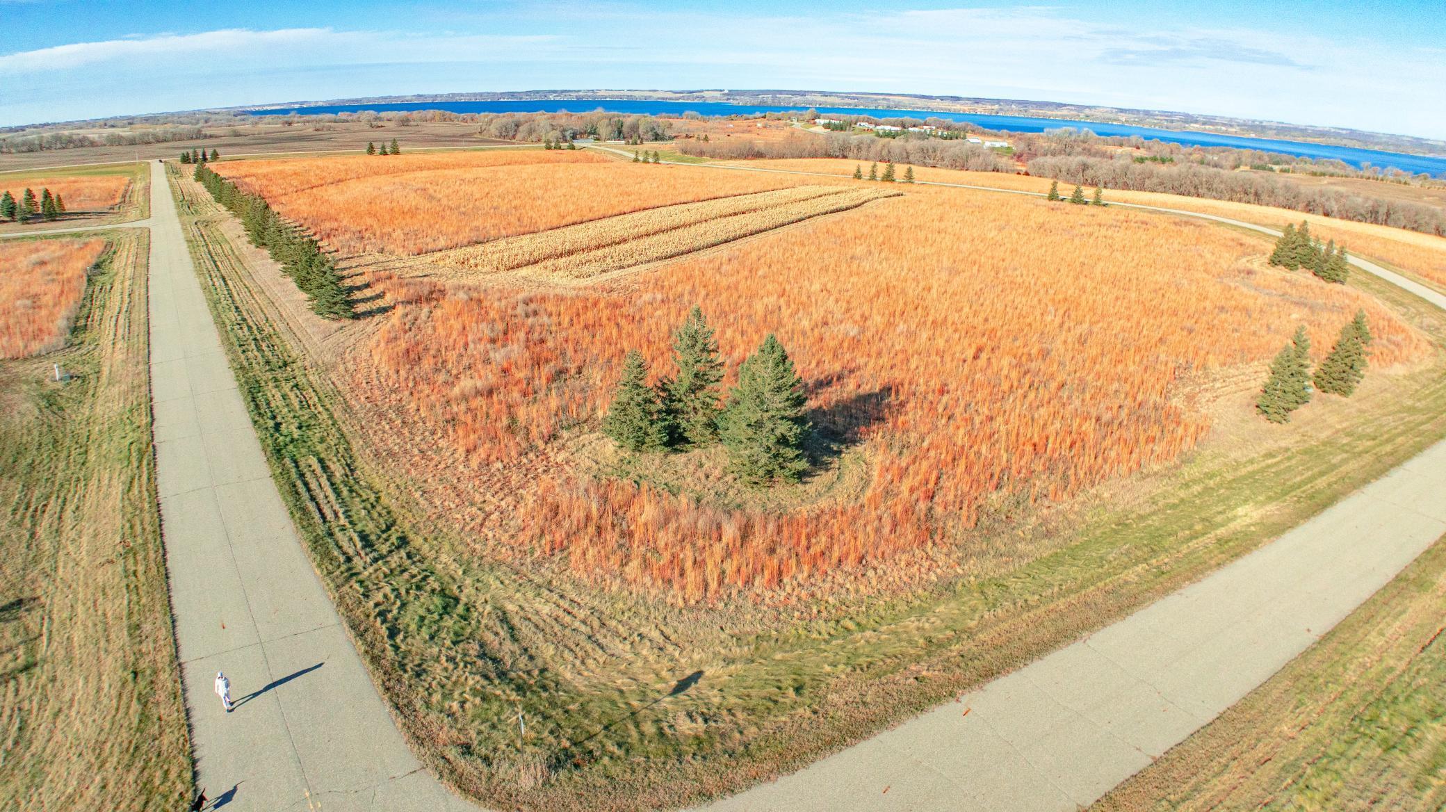 18 Co Road Glenwood, MN 56334 - Photo 12 of 25