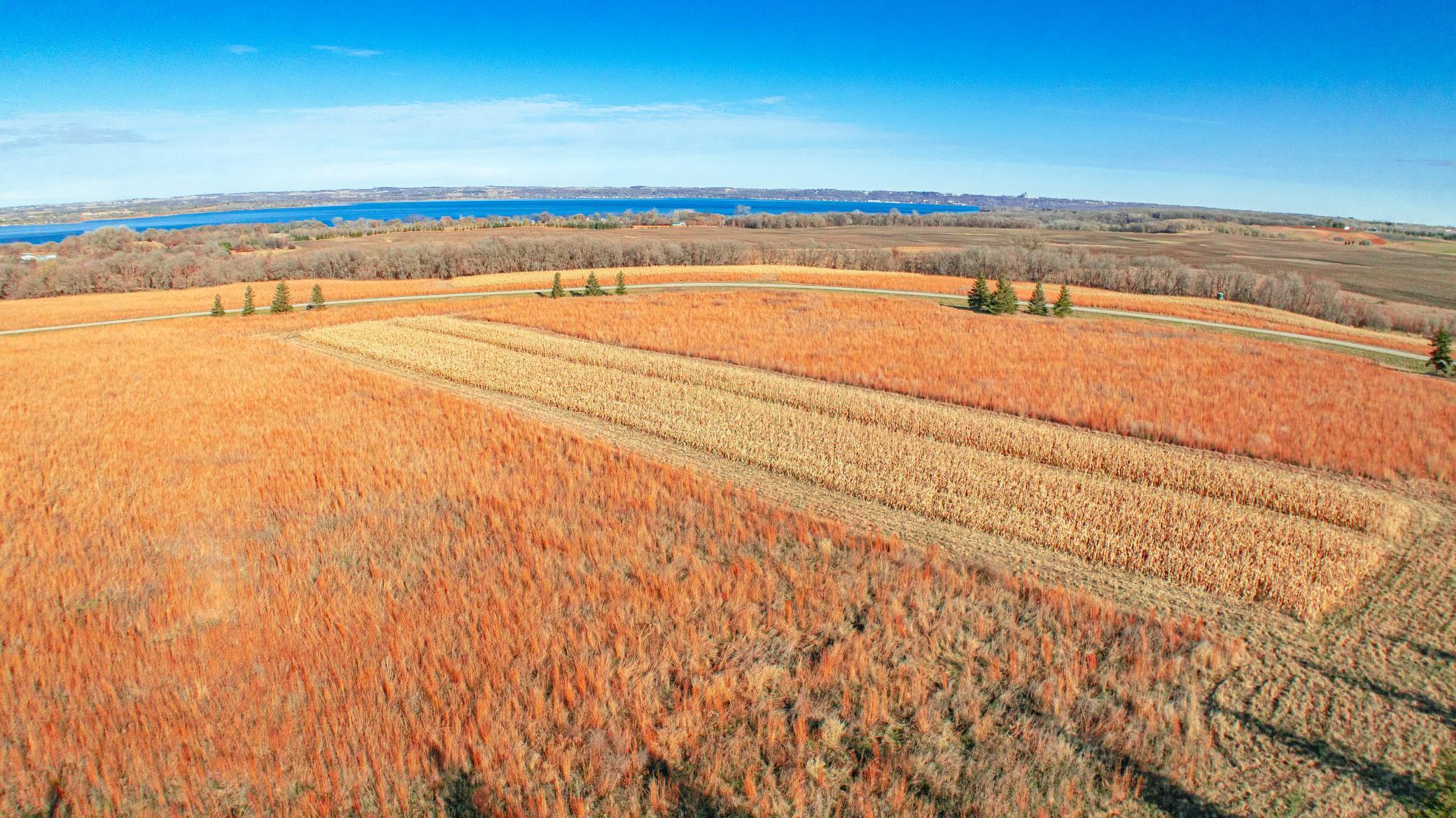 18 Co Road Glenwood, MN 56334 - Photo 16 of 25