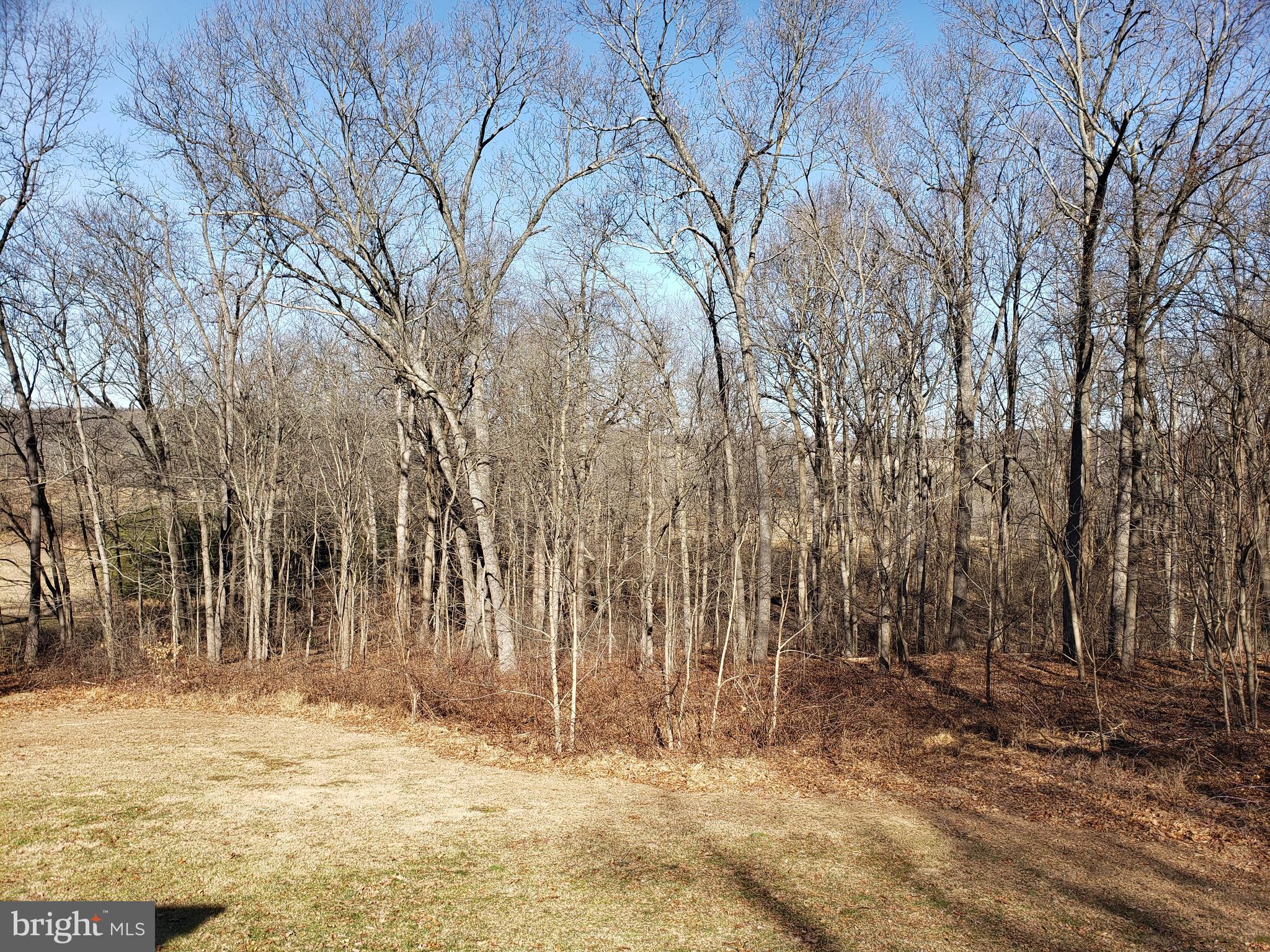 2216 White Hall Road White Hall, MD 21161 - Photo 55 of 56 Back Yard