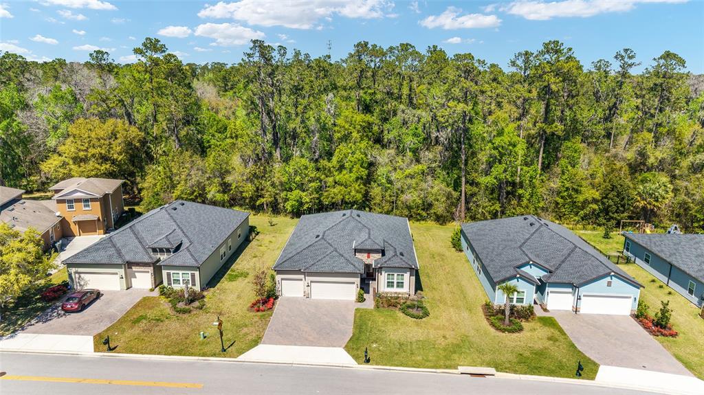 1129 Southeast 42nd Road Ocala, FL 34480 - Photo 50 of 54