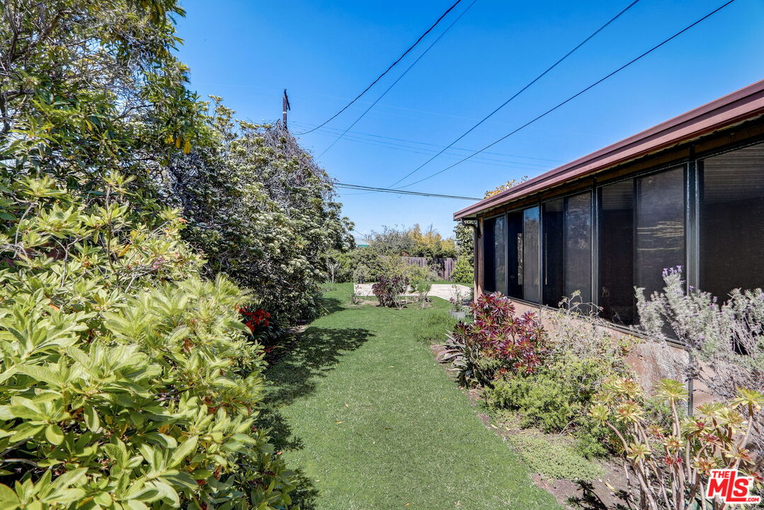 6215 West 77th Street Los Angeles, CA 90045 - Photo 17 of 23 a view of a backyard with potted plants