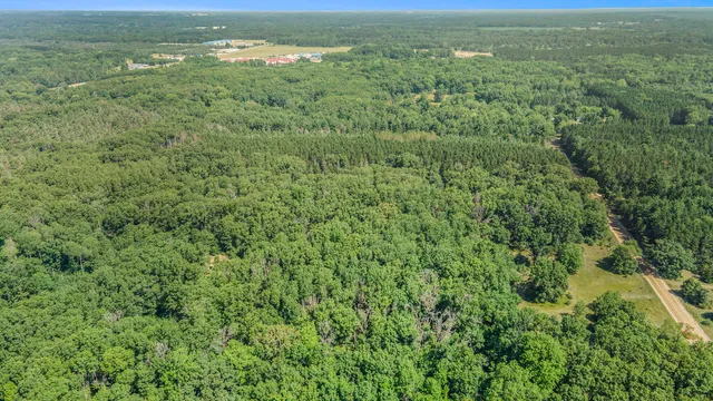 $66,500 | Lot F Hayes Road, Mecosta, MI 49332