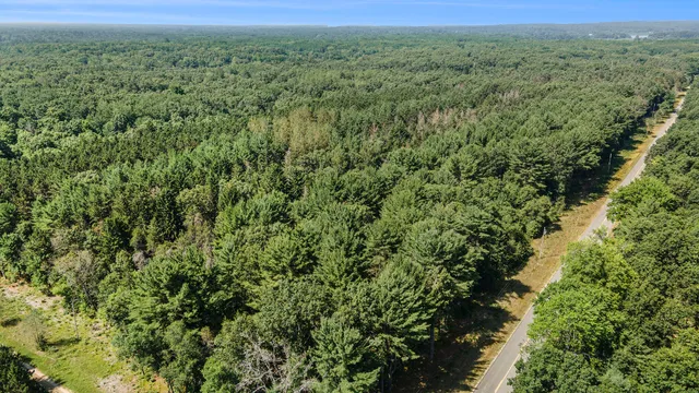 $66,500 | Lot F Hayes Road, Mecosta, MI 49332