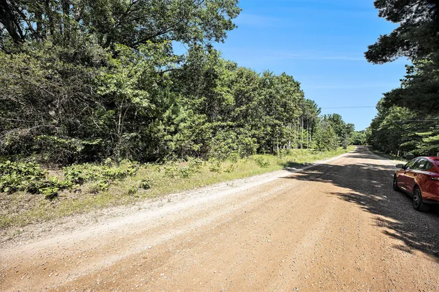 $66,500 | Lot F Hayes Road, Mecosta, MI 49332