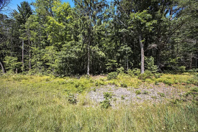 $66,500 | Lot F Hayes Road, Mecosta, MI 49332