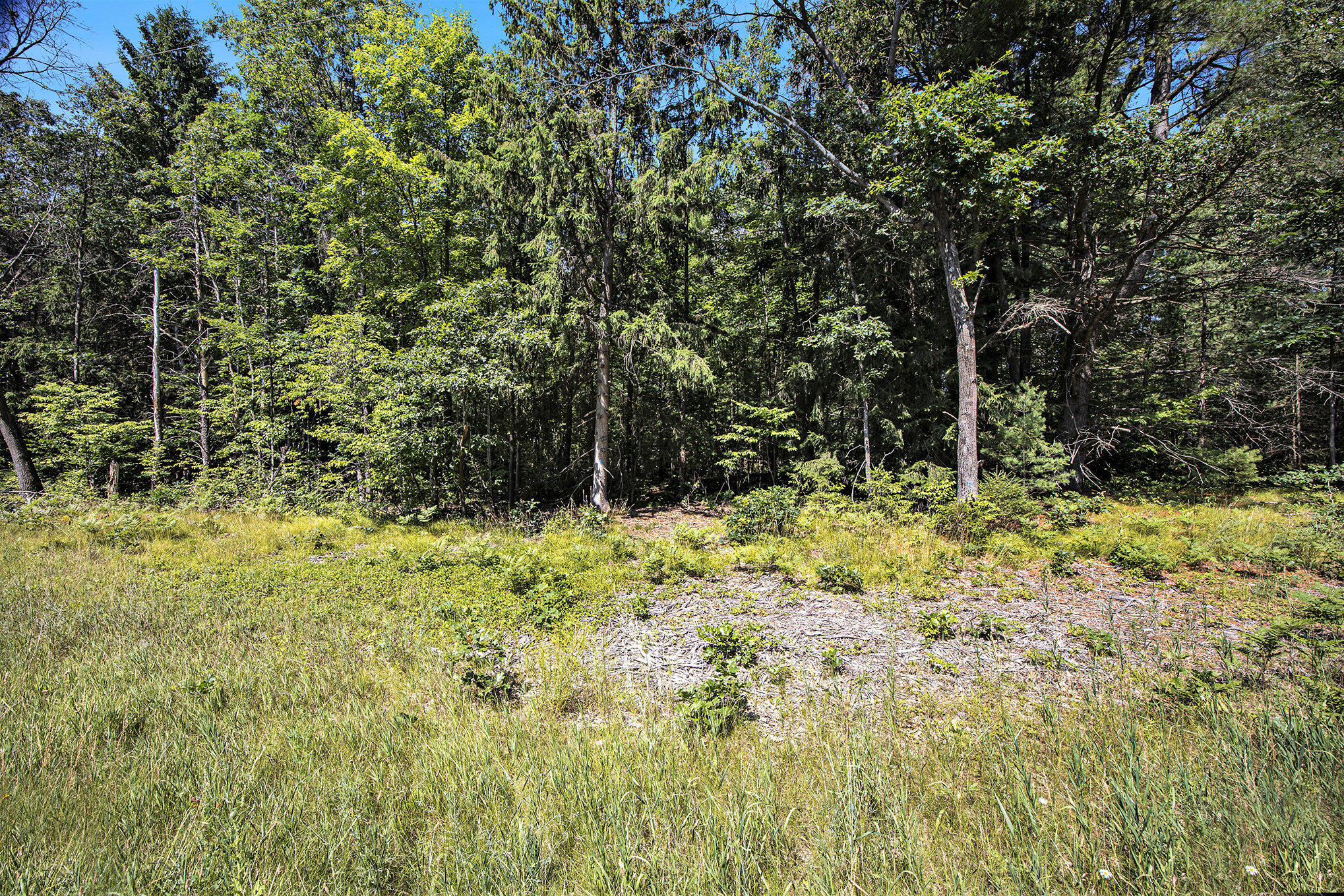 Lot F Hayes Road Mecosta, MI 49332 - Photo 20 of 40 Ground Level