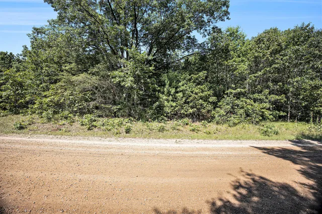 $66,500 | Lot F Hayes Road, Mecosta, MI 49332