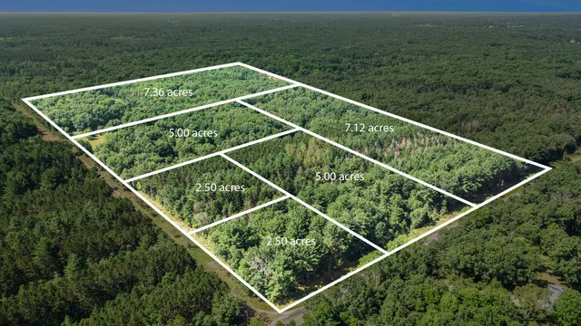 $66,500 | Lot F Hayes Road, Mecosta, MI 49332