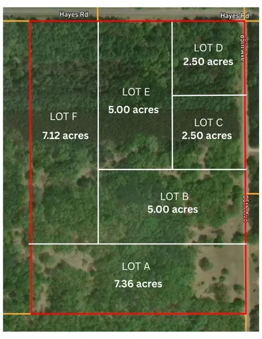 $66,500 | Lot F Hayes Road, Mecosta, MI 49332