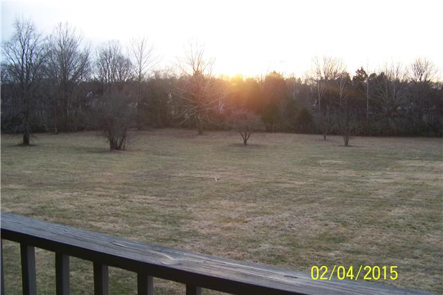 1062 Logue Road Mount Juliet, TN 37122 - Photo 20 of 20 a view of a dry yard