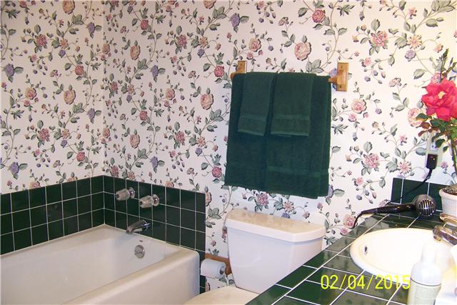 1062 Logue Road Mount Juliet, TN 37122 - Photo 10 of 20 a bathroom with a bathtub and sink