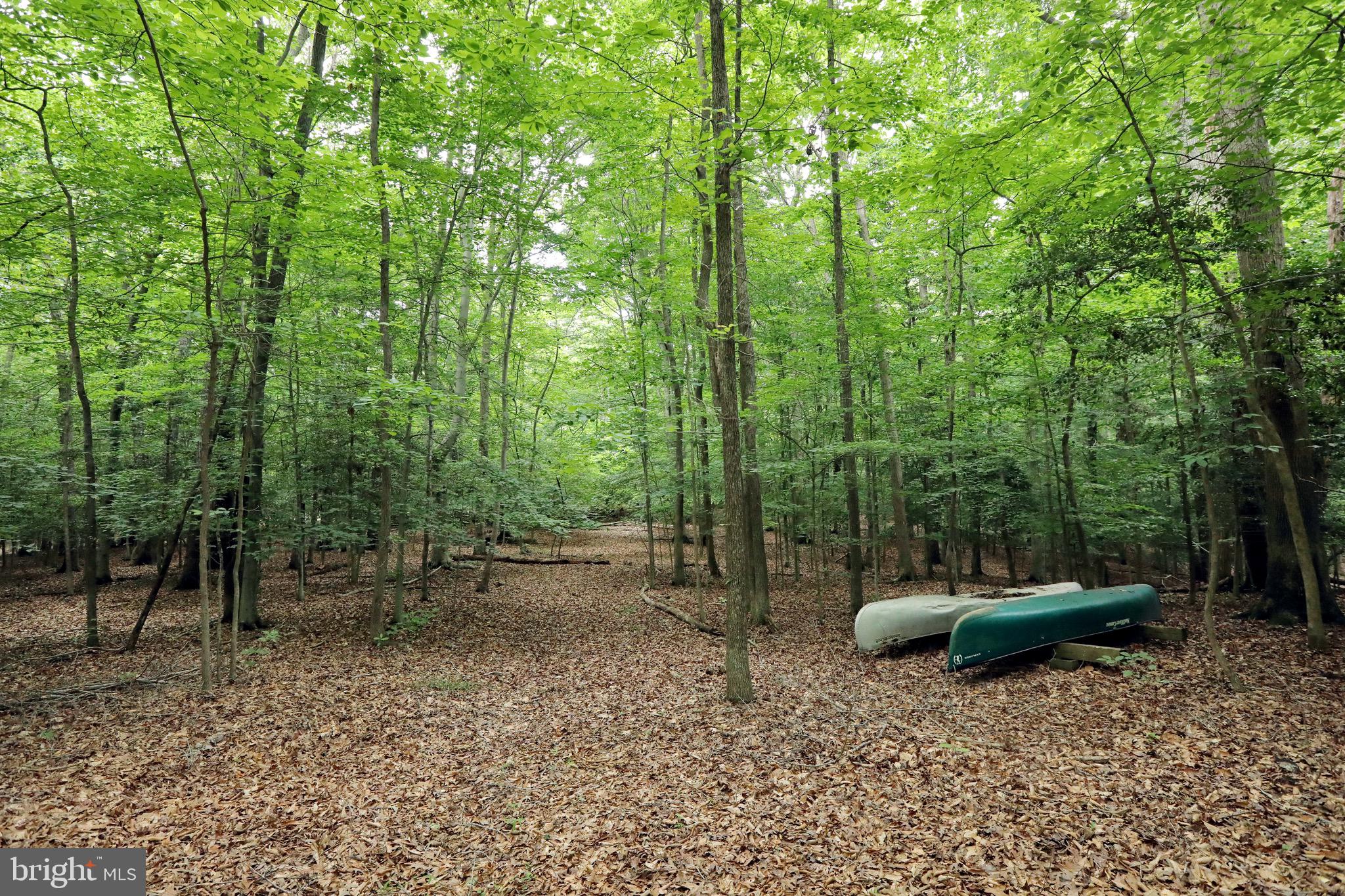 7440 Simms Landing Road Port Tobacco, MD 20677 - Photo 29 of 88 Gallery Image 29