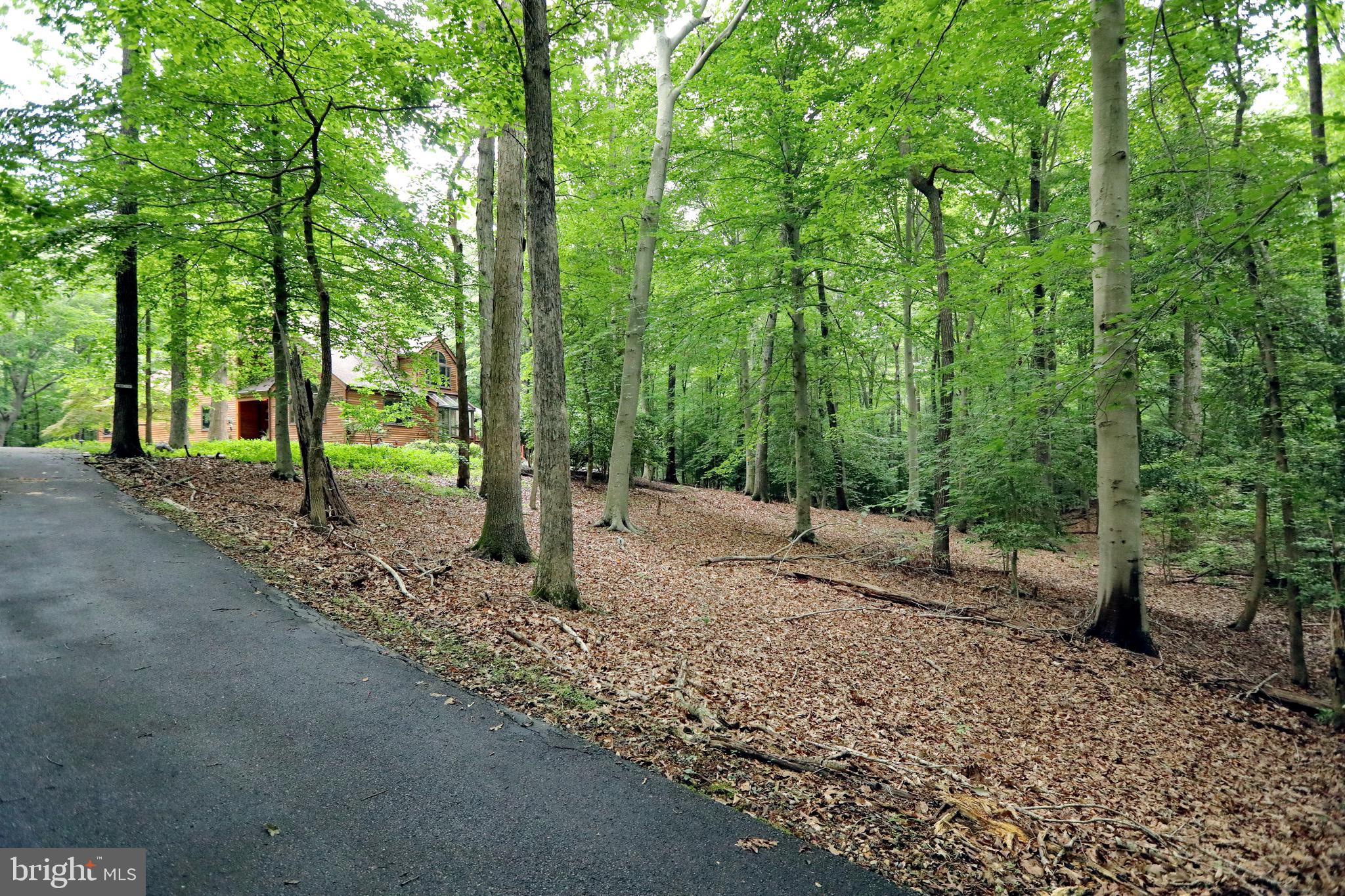 7440 Simms Landing Road Port Tobacco, MD 20677 - Photo 5 of 88 Gallery Image 5