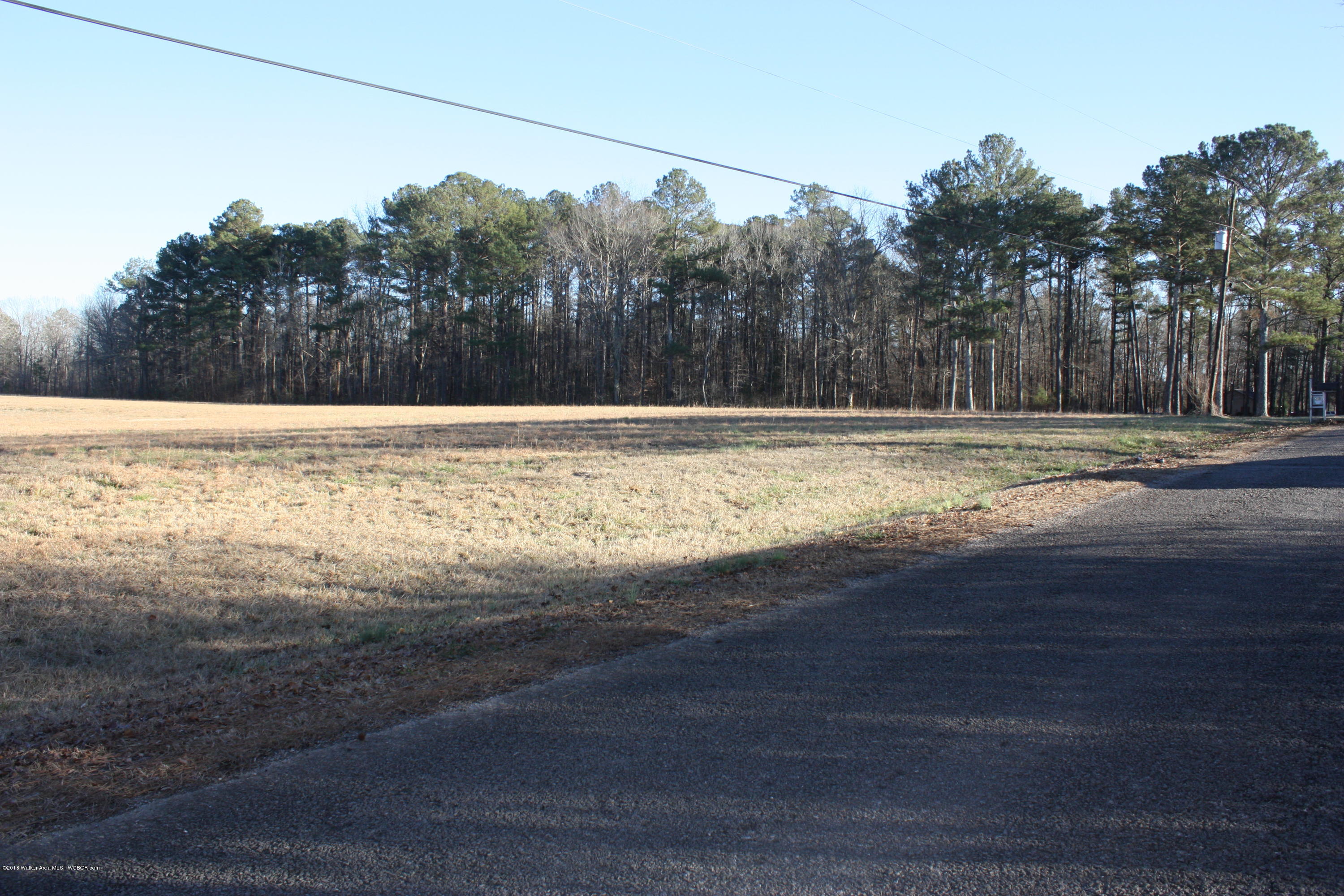 Henslee Road Carbon Hill, AL 35549 - Photo 2 of 13 Gallery Image 2