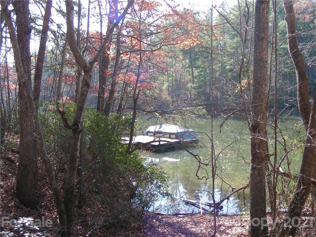 11 South Pointe Road Mill Spring, NC 28756 - Photo 1 of 4 a backyard of a house with lots of green space
